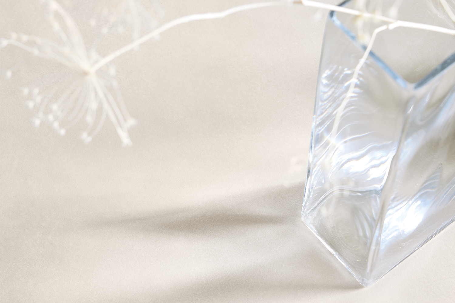 Vase avec fleurs séchées sur plan de travail clair – image d’ambiance apaisante et élégante.