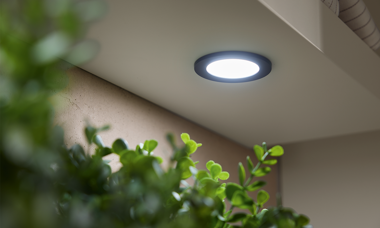 Eingelassene LED-Spots unter dem Regal setzen gezielte Lichtakzente in der Küche